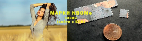 стаф Вяземский