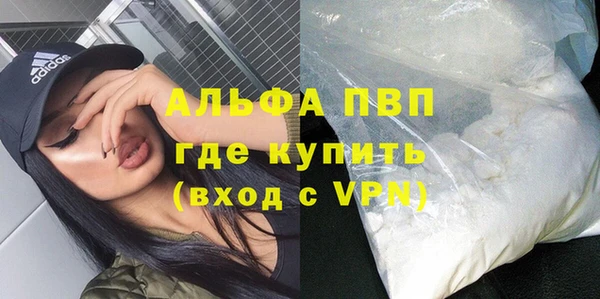 стаф Вяземский