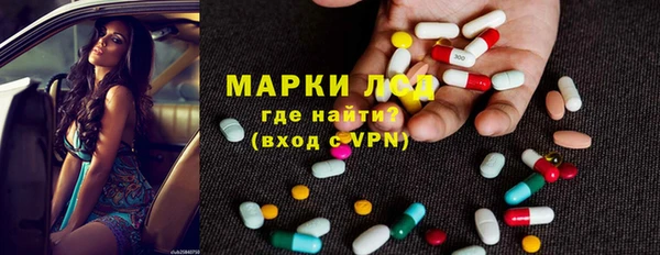 стаф Вяземский