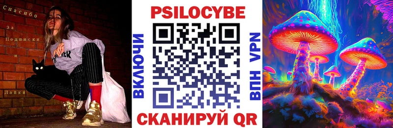 даркнет сайт Норильск KRAKEN онион Псилоцибиновые грибы Cubensis